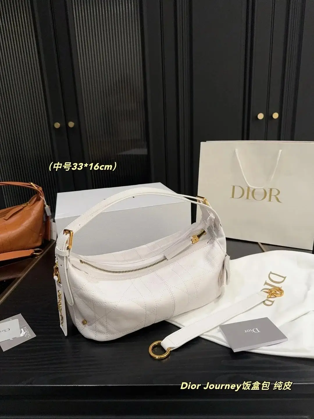 Dior Journey Hobo Bag