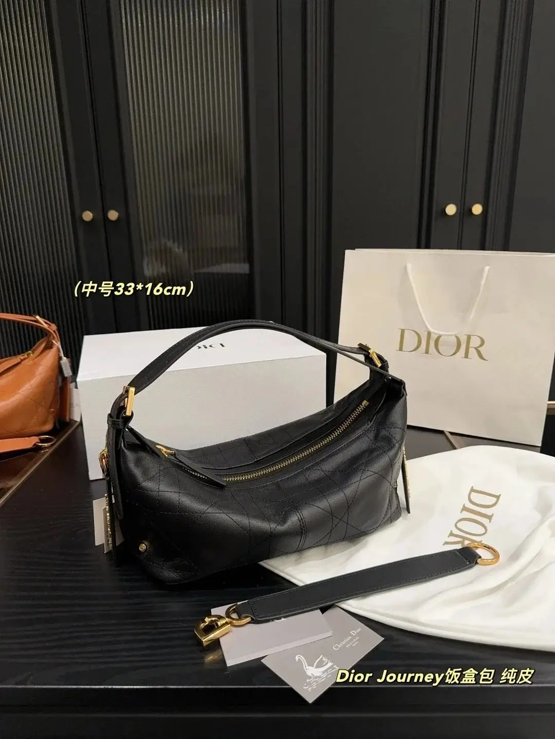 Dior Journey Hobo Bag 2