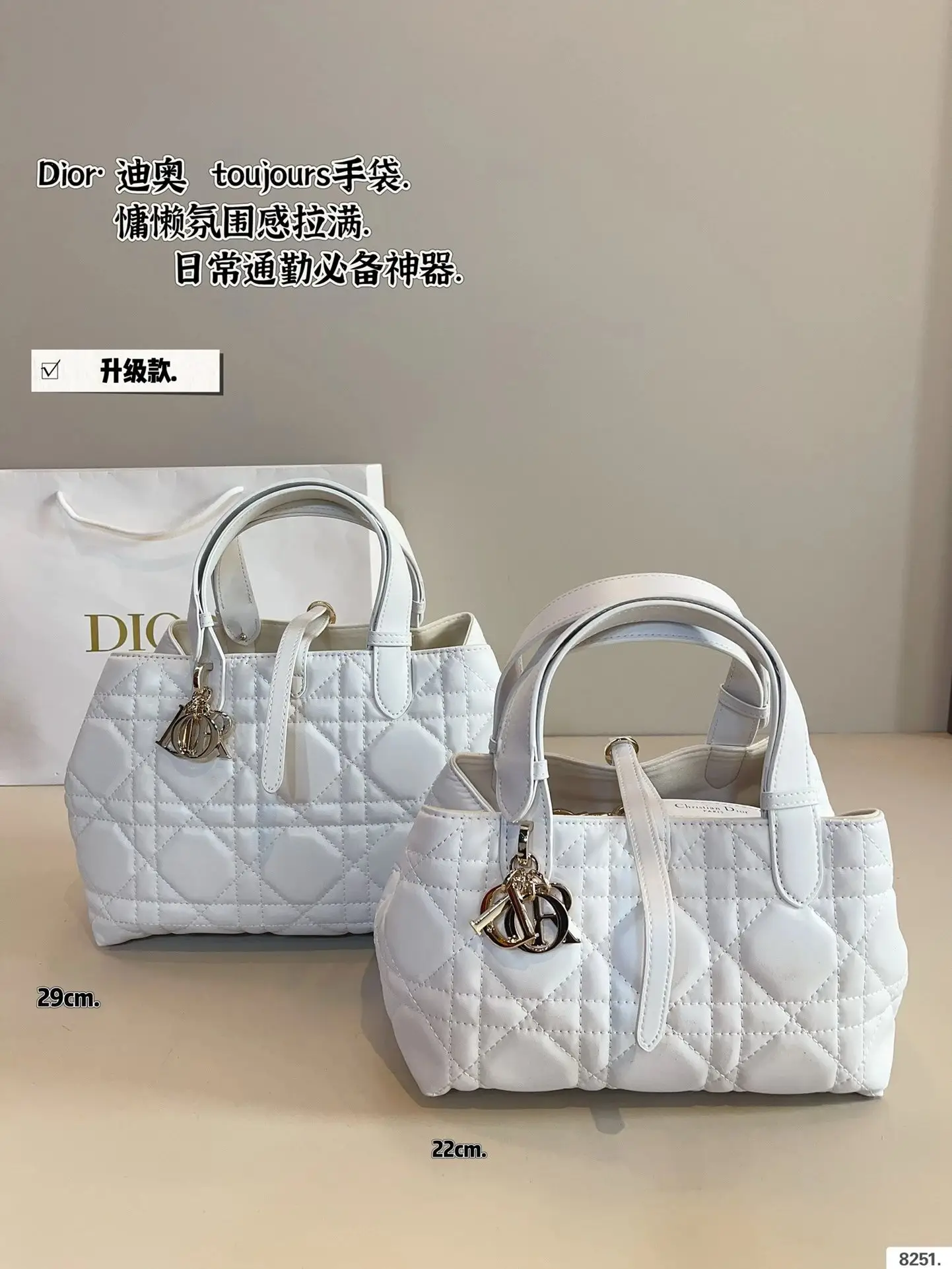 Dior Handbags 2