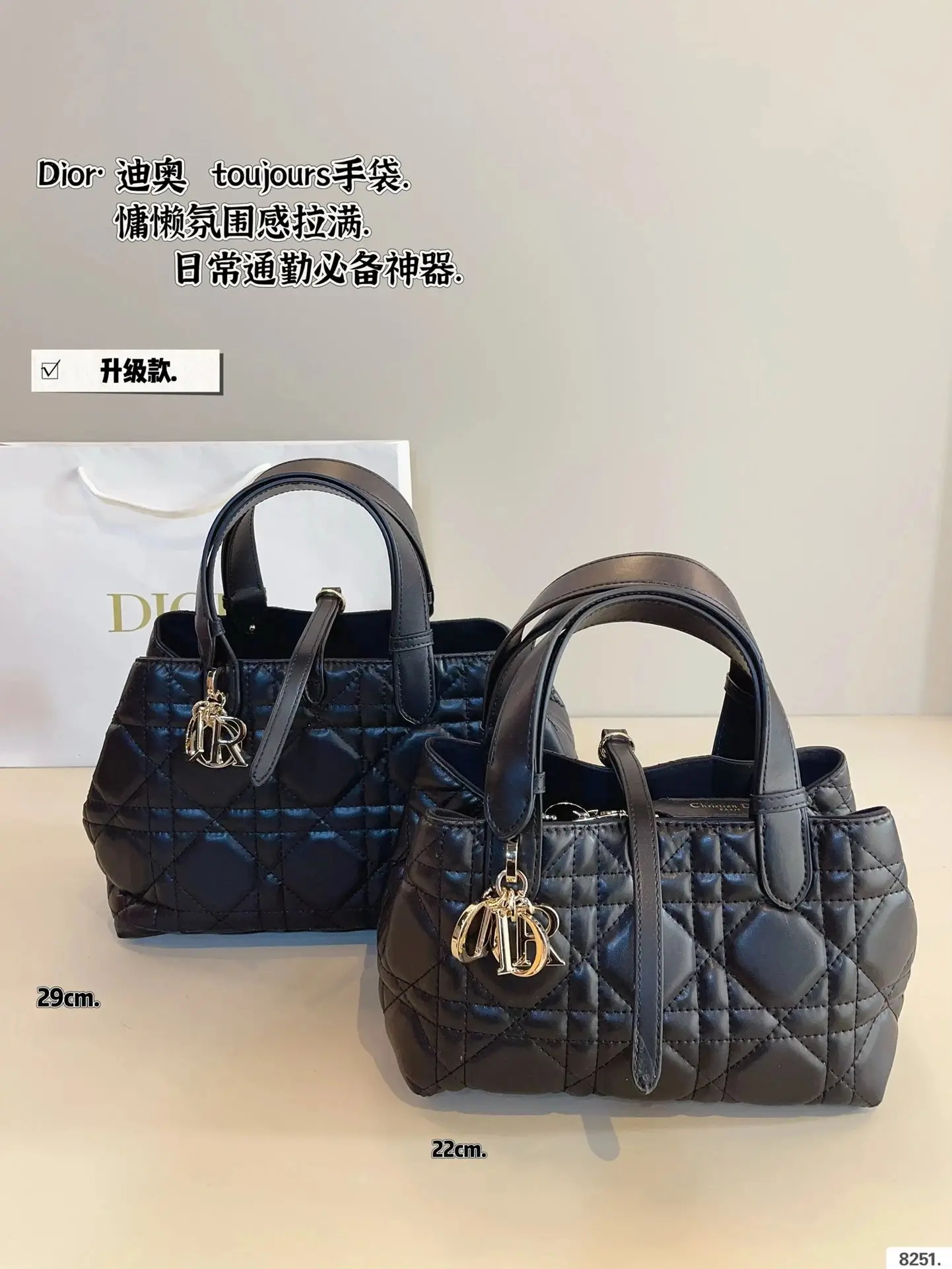Dior Handbags 3