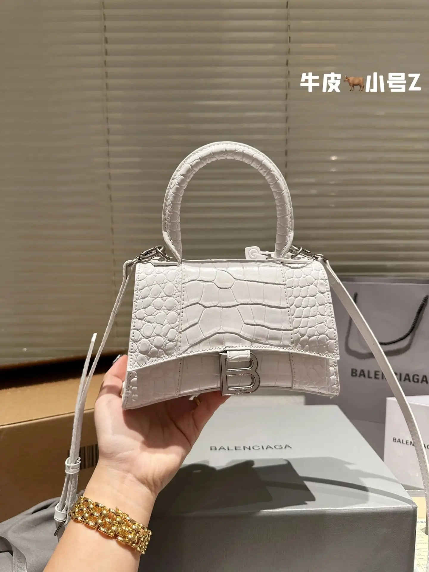 Balenciaga Handbags 2