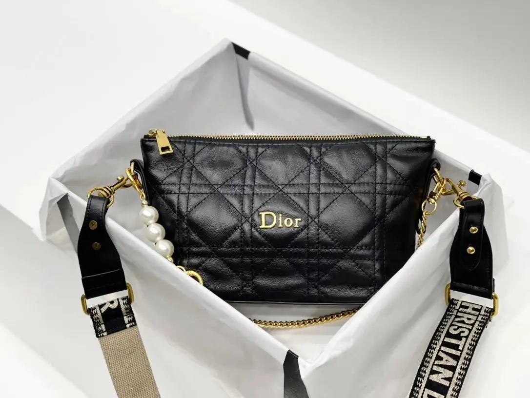 Dior Handbags 2