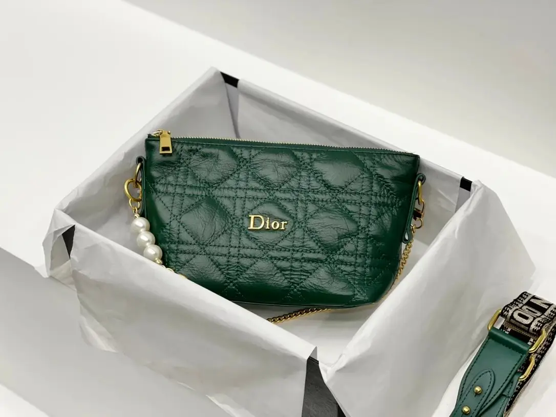 Dior Handbags 3