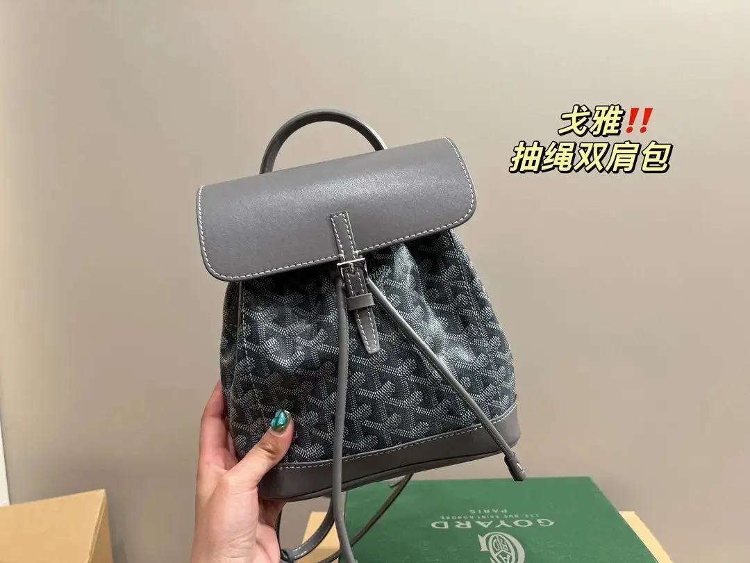 Goyard Mini Backpack 2