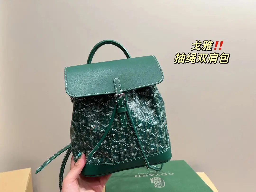 Goyard Mini Backpack 3