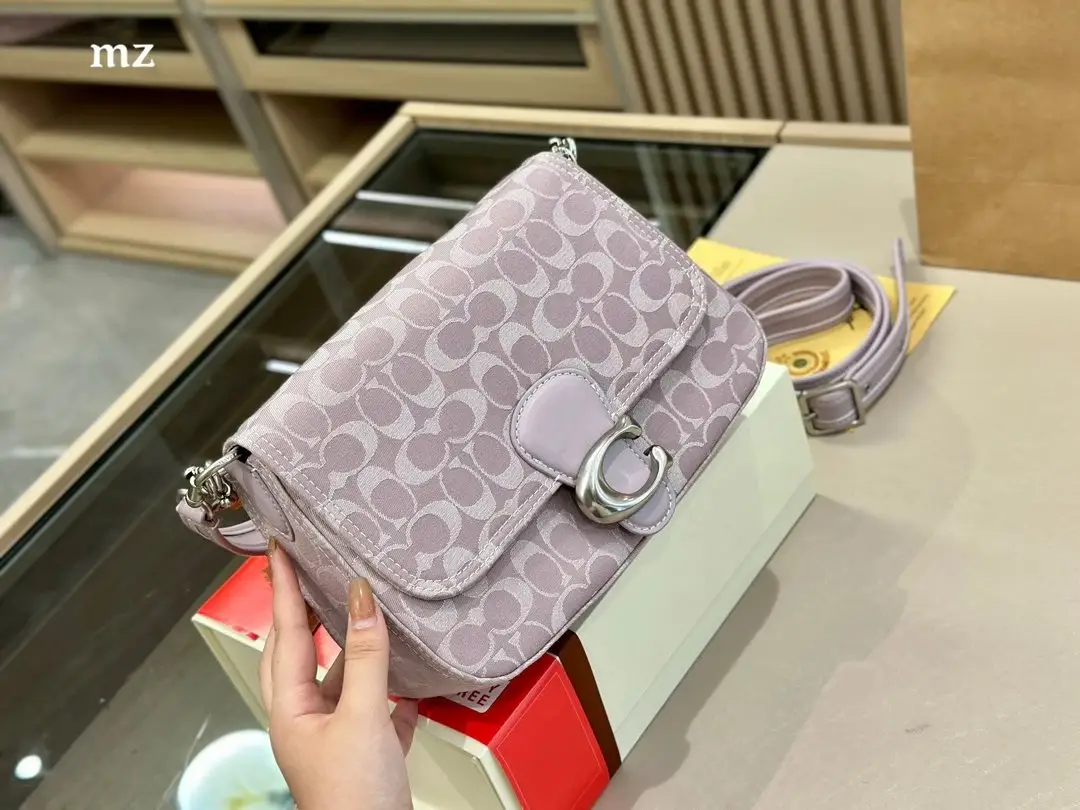 Coach Chain Bag 2