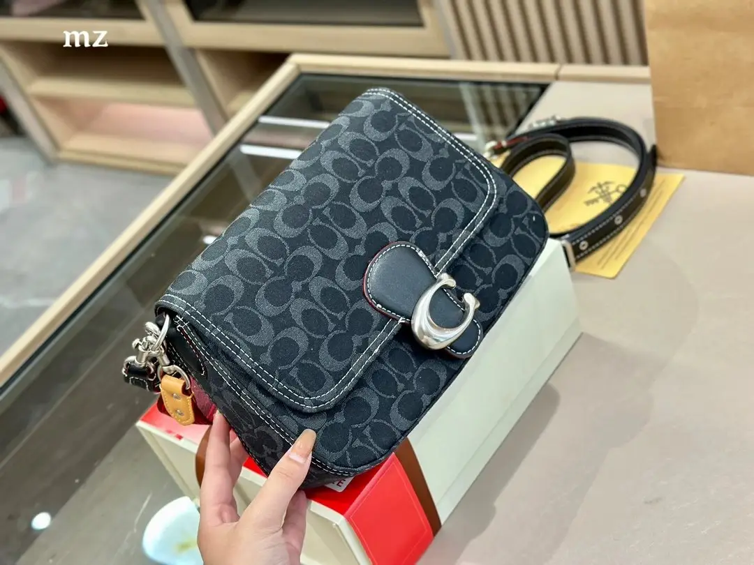Coach Chain Bag 3